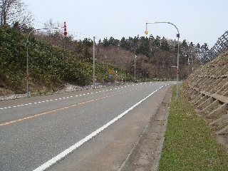 127_鹿出没.jpg