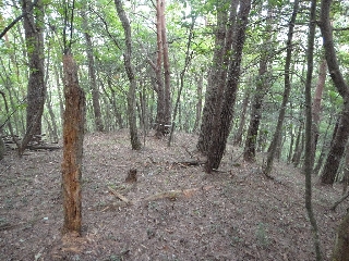 029_移動路.jpg