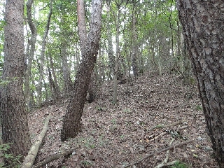 031_移動路周辺.jpg
