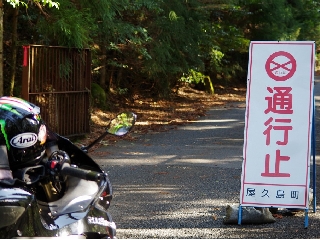 137_ヤクスギランド.jpg