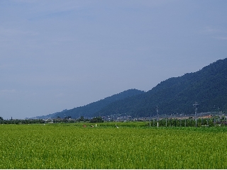 165_R13_田園.jpg