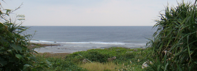 155_荒崎海岸.jpg