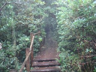 056_湯湾岳.jpg