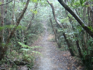 057_湯湾岳.jpg