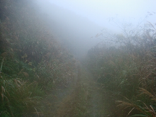 065_湯湾岳走路.jpg