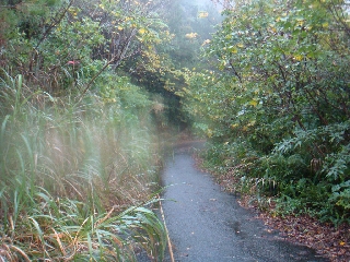 066_湯湾岳走路.jpg