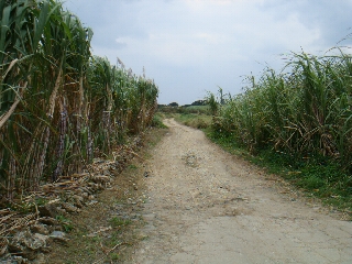 147_荒崎海岸.jpg