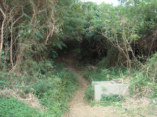 154_荒崎海岸.jpg